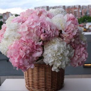 Rose Harmony