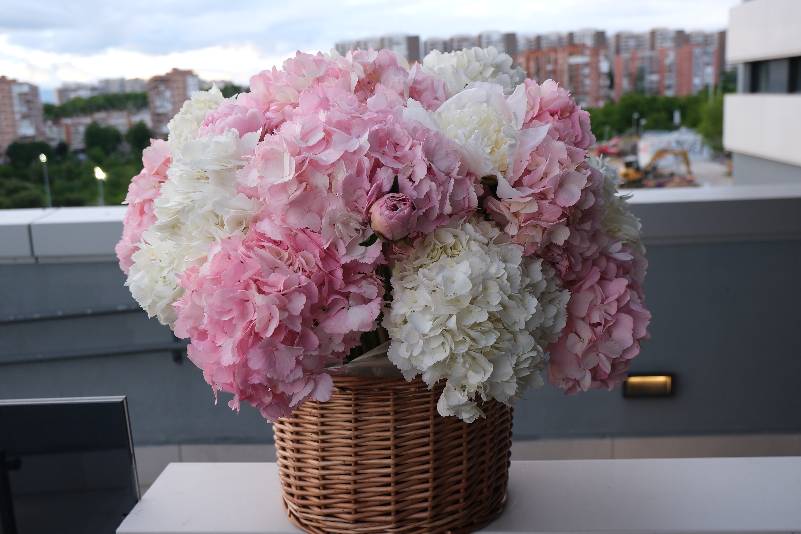 Pink hydrangea arrangement