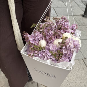 Lilac Dream